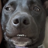 Entry image for Taffy