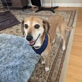 Entry image for Summer