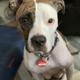 Entry image for Aurora