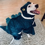 Entry image for Miss Nora