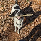 Entry image for Auri