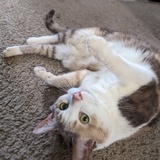 Entry image for Susie