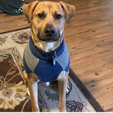 Entry image for Hamilton