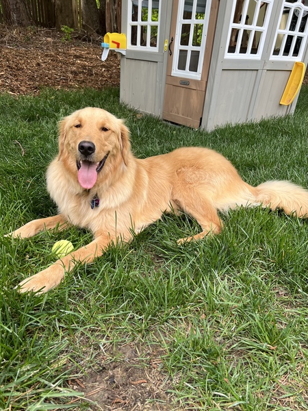 Entry image for Max. Clicking this image will show a larger photo