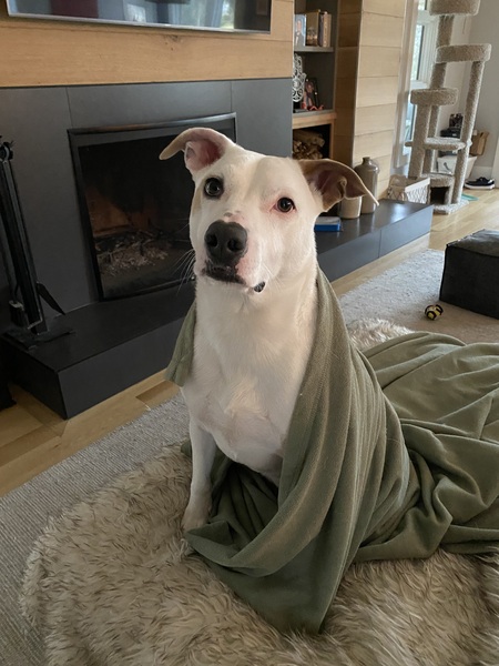 Entry image for Zoe . Clicking this image will show a larger photo