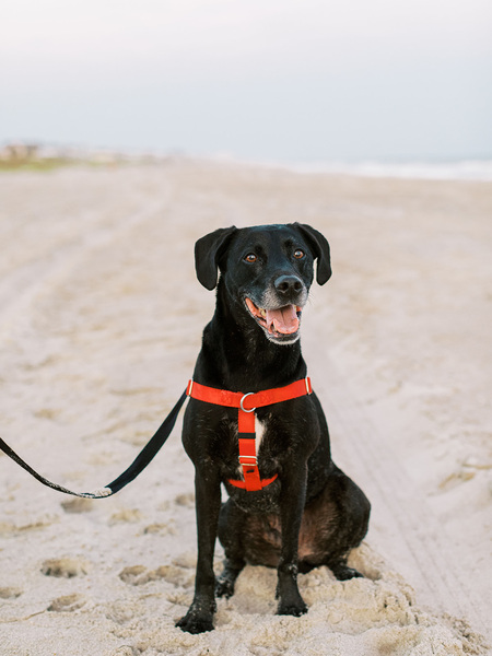 Entry image for Kobe. Clicking this image will show a larger photo