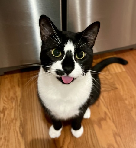 Baxter