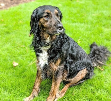 Entry image for Montana. Clicking this image will show a larger photo