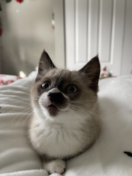 Entry image for Adley. Clicking this image will show a larger photo