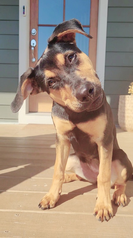 Freya