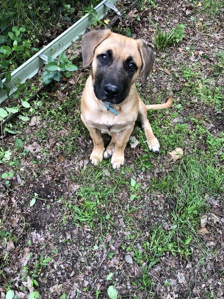 Entry image for Nyx. Clicking this image will show a larger photo