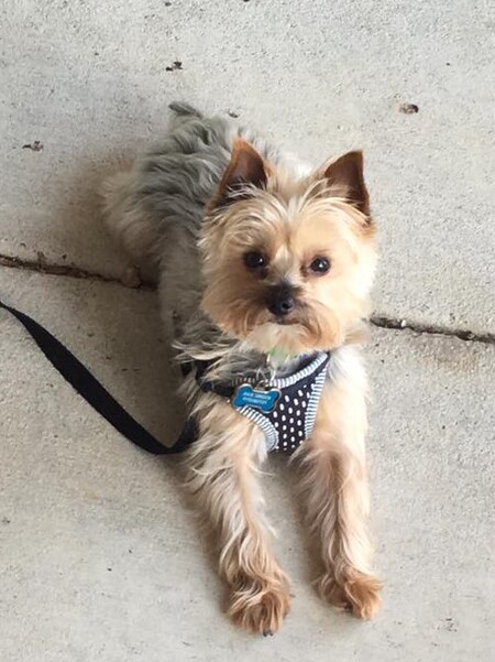 Entry image for Lando Calrissian . Clicking this image will show a larger photo