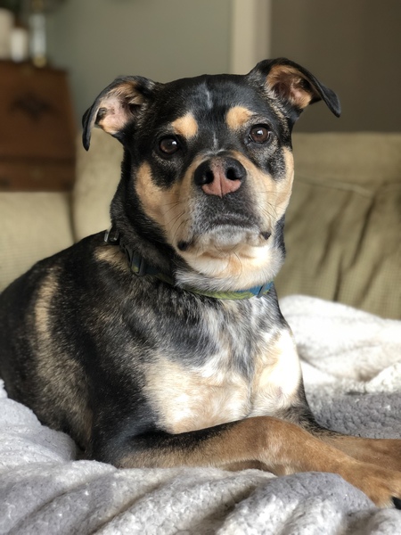 Entry image for River. Clicking this image will show a larger photo