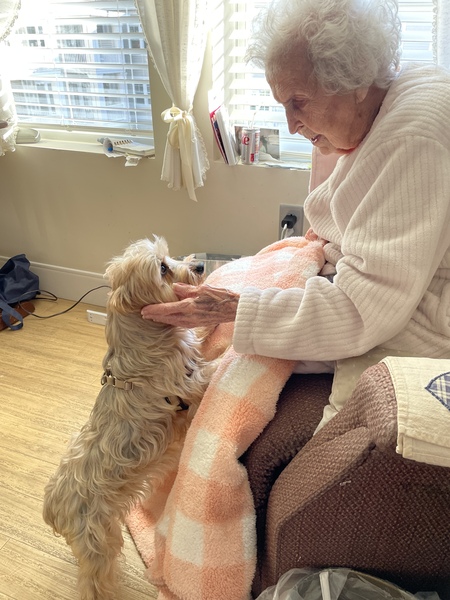 Entry image for Isley. Clicking this image will show a larger photo