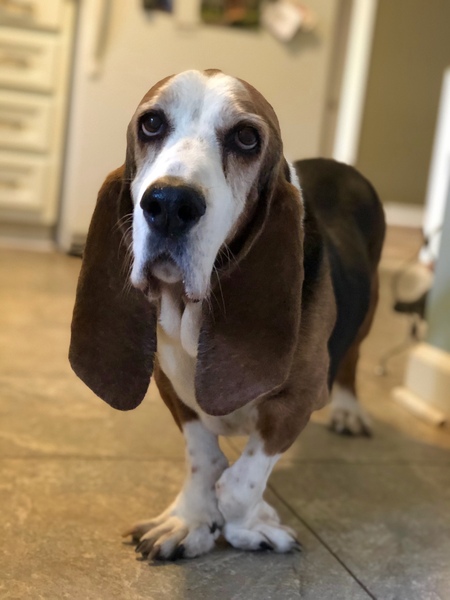 Entry image for Charles. Clicking this image will show a larger photo