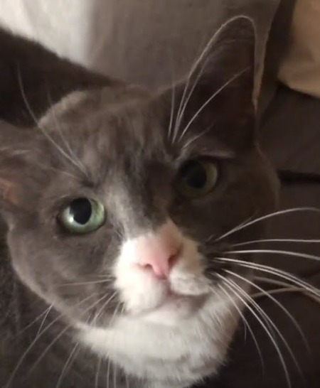 Entry image for Grim. Clicking this image will show a larger photo