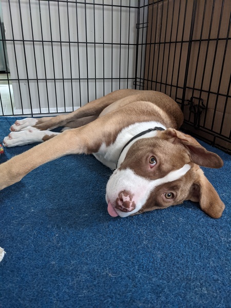 Entry image for Cassie. Clicking this image will show a larger photo