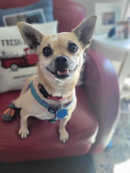 Entry image for Elsa. Clicking this image will show a larger photo