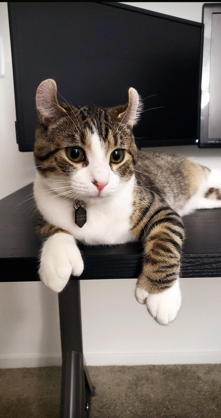 Entry image for Stuart. Clicking this image will show a larger photo