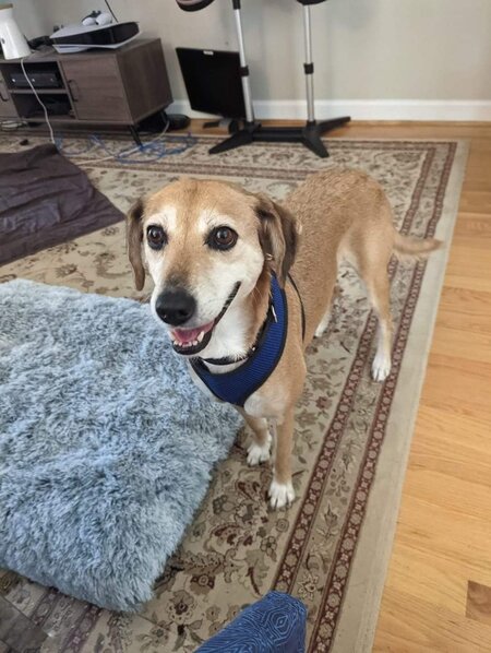 Entry image for Summer. Clicking this image will show a larger photo