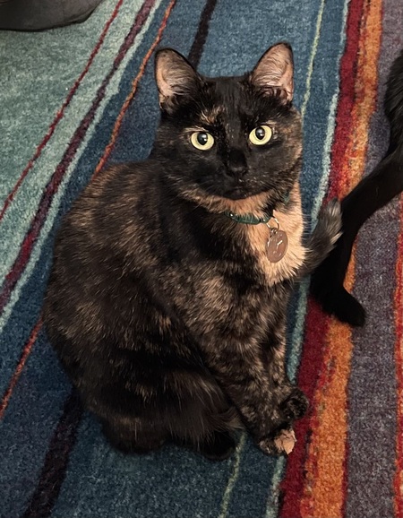 Entry image for Diana. Clicking this image will show a larger photo