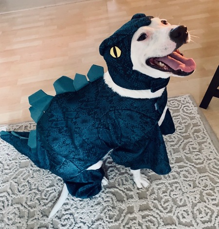 Entry image for Miss Nora. Clicking this image will show a larger photo