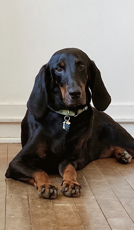 Entry image for Annie. Clicking this image will show a larger photo