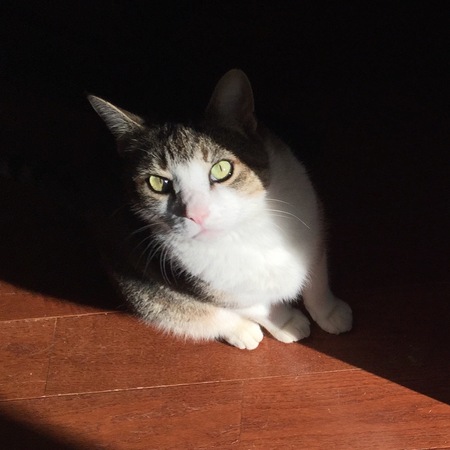 Petey