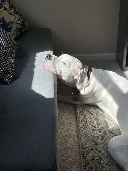 Entry image for Max. Clicking this image will show a larger photo