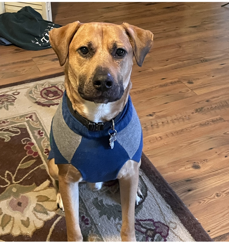 Entry image for Hamilton. Clicking this image will show a larger photo