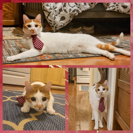 Charlie