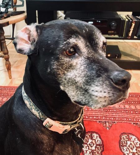 Rosie