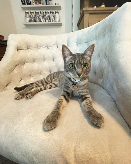 Penny