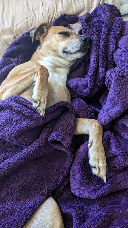 Gracie