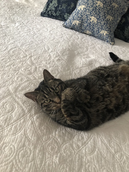 Max