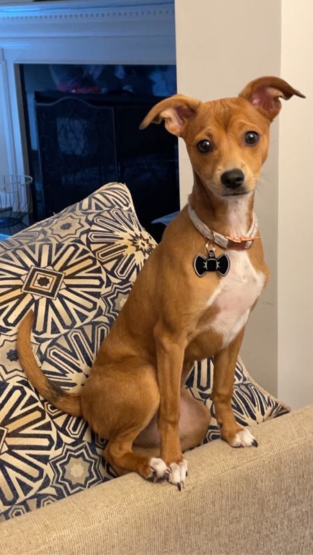 Kallie Roo