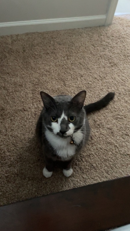 Milo
