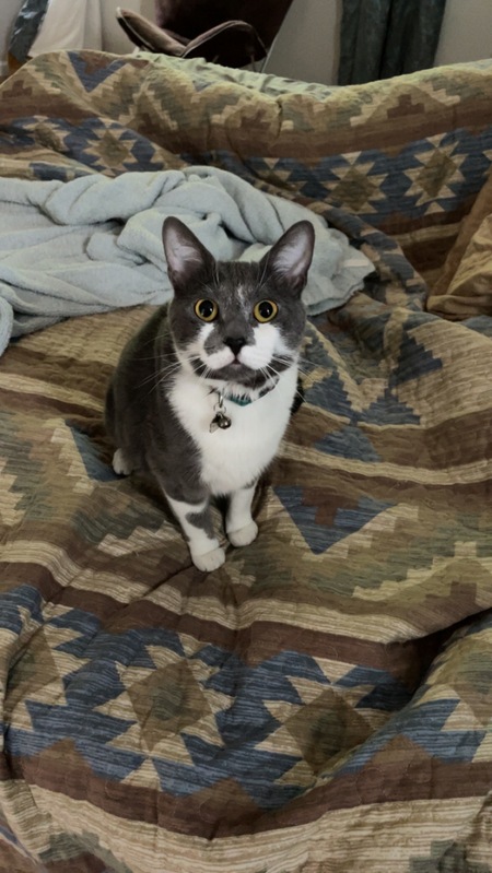 Oliver