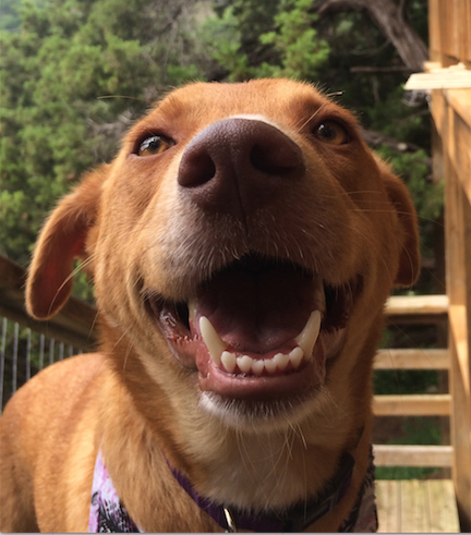 Sadie