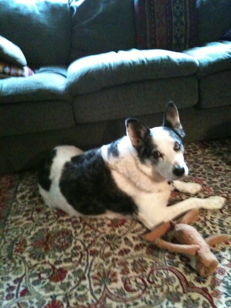 Casey