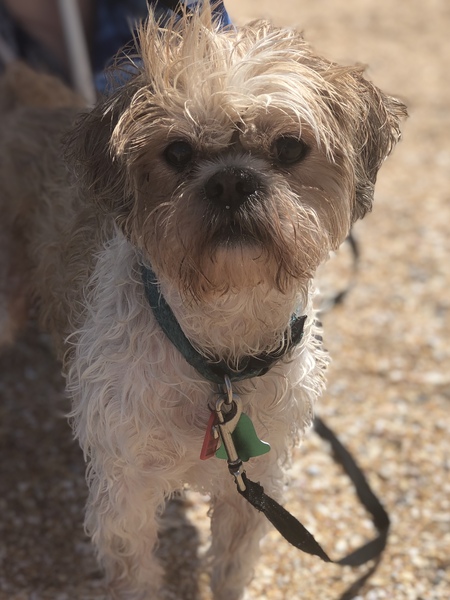 Charlie