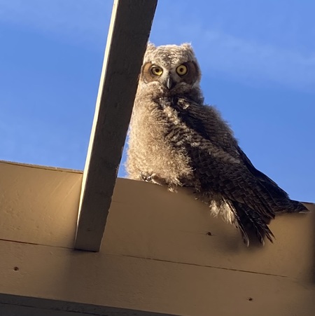 Company dropped in for coffee this morning 