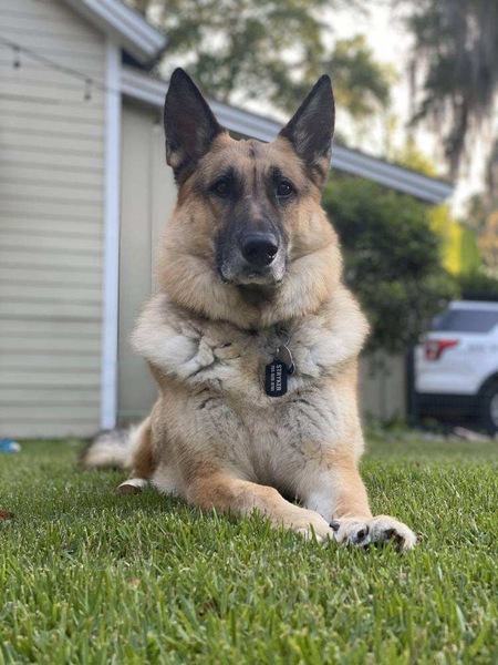 Stryker