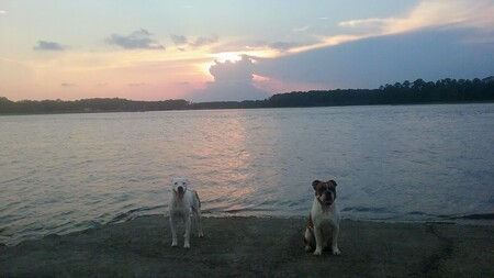 Jack & Zeke