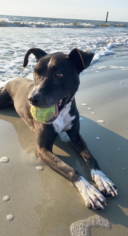 Ellie