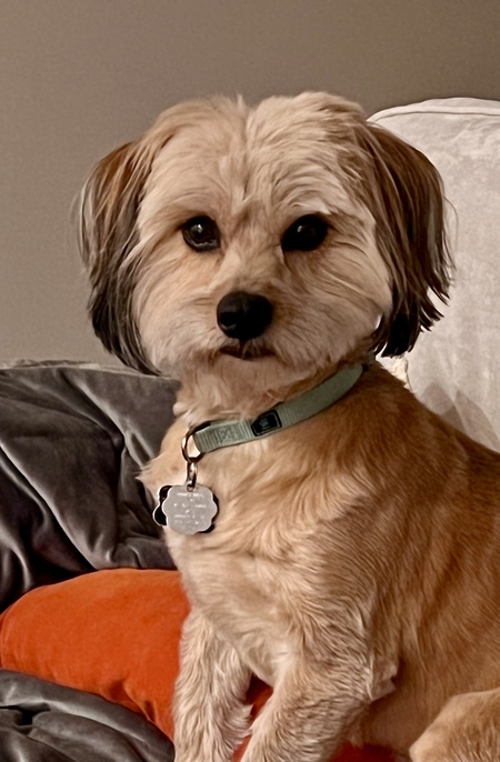 Tucker 