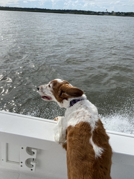 Maggie 
