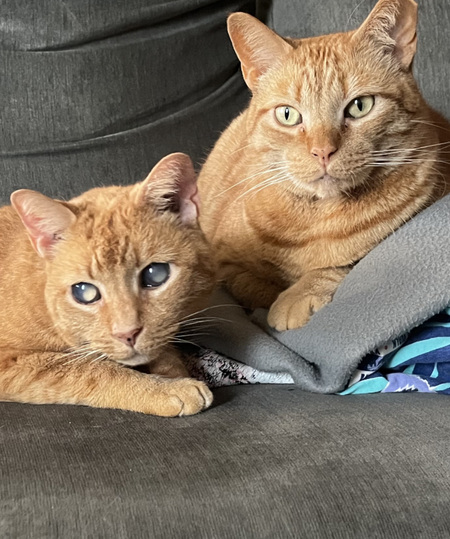 Pablo and PNut