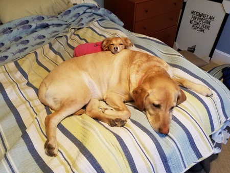 Darcie/Minnie