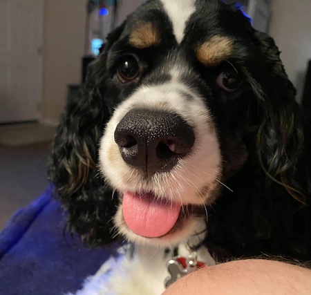 Max